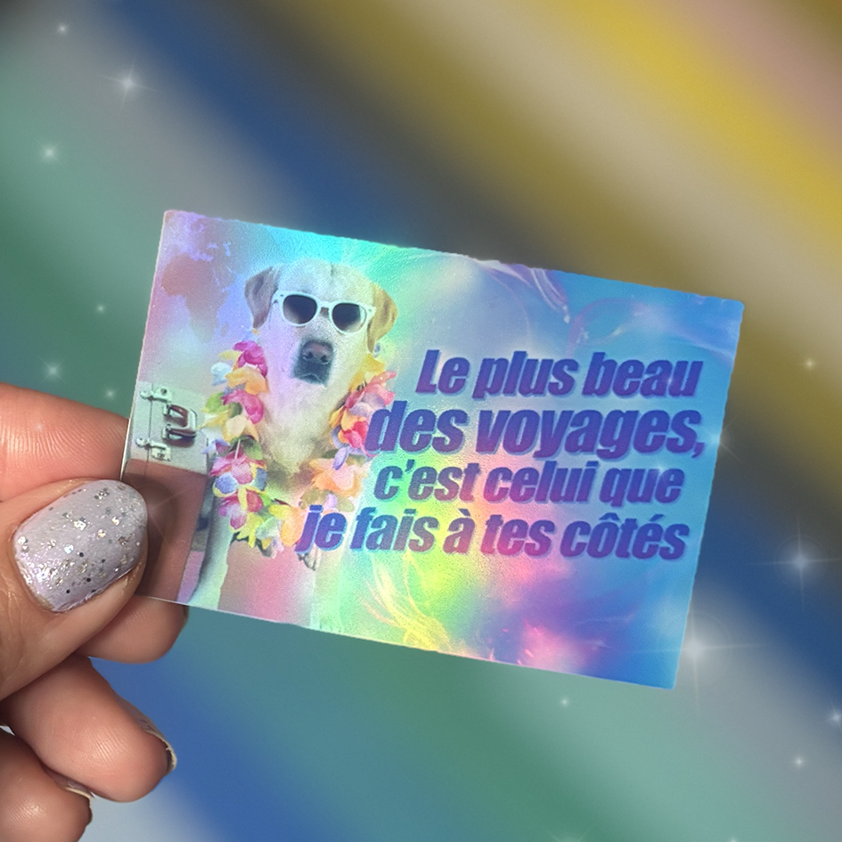 STICKERS - Voyage Voyage wouaf